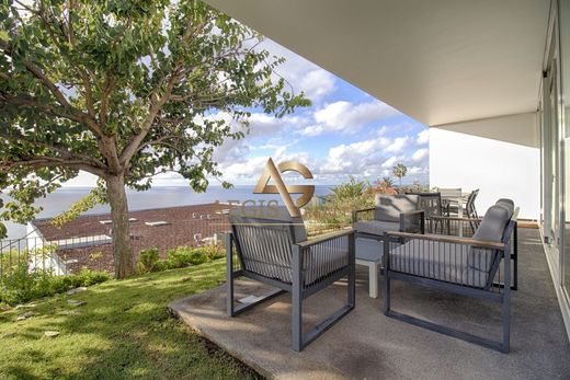 호화 저택 / Funchal, Madeira