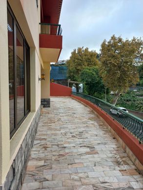 豪宅  Funchal, Madeira