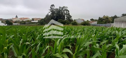 Terreno en Aveiro