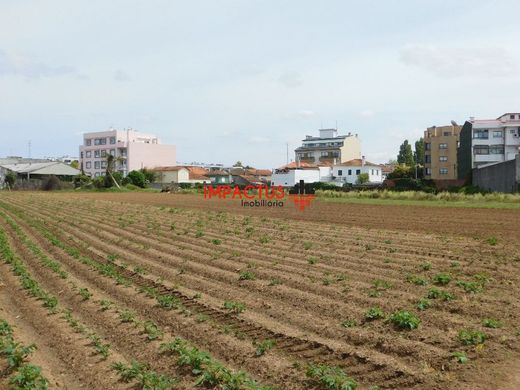 Teren w Maia, Distrito do Porto