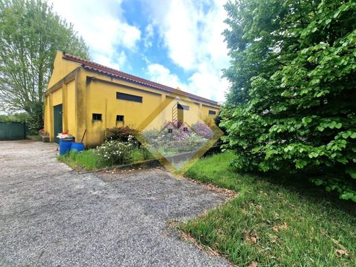 Rural or Farmhouse in Santa Maria da Feira, Aveiro
