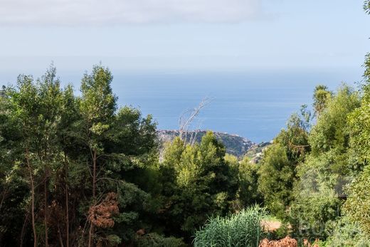 Πολυτελή κατοικία σε Calheta, Madeira