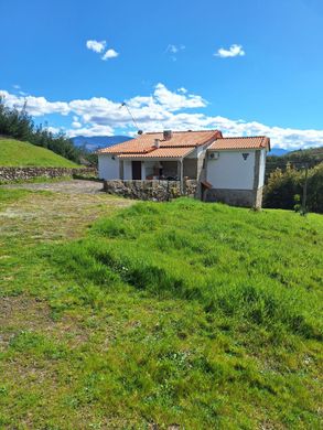 村舍/农舍  Fornos de Algodres, Distrito da Guarda