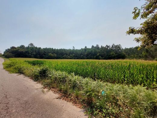 أرض ﻓﻲ Santa Maria da Feira, Distrito de Aveiro