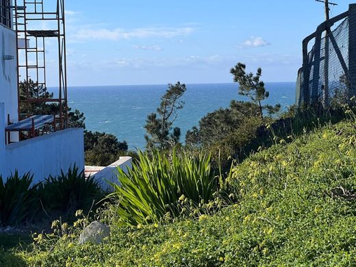 Teren w Nazaré, Distrito de Leiria