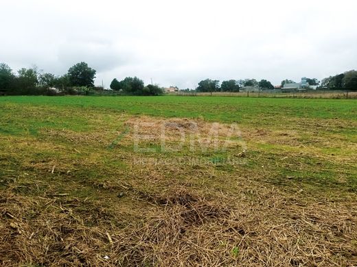 Grundstück in Vila Nova de Famalicão, Distrito de Braga