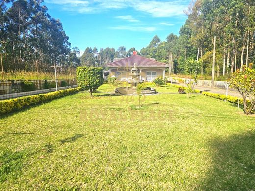 Casa de lujo en Santa Maria da Feira, Aveiro
