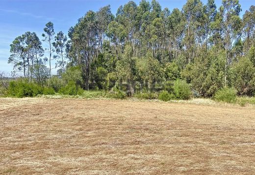 Rustik ya da çiftlik Ovar, Distrito de Aveiro