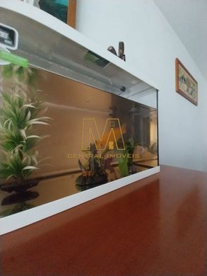 Maison de luxe à Matosinhos, Distrito do Porto