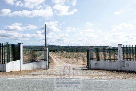 Demeure ou Maison de Campagne à Seia, Distrito da Guarda