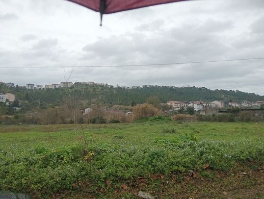 Αγροτεμάχιο σε Κόιμπρα, Coimbra