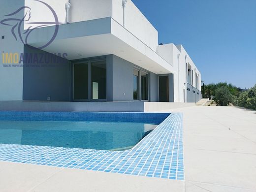 호화 저택 / Silves, Distrito de Faro