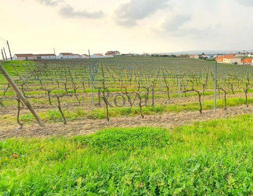 Land in Óbidos, Distrito de Leiria