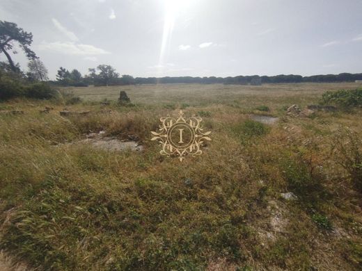 Terreno - Alcochete, Setúbal