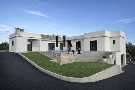 Luxury home in Coruche, Distrito de Santarém