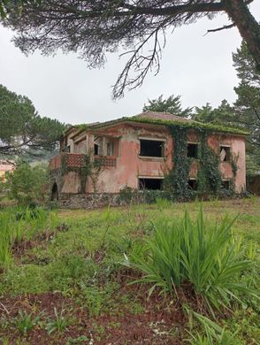 Maison de luxe à Sintra, Lisbonne