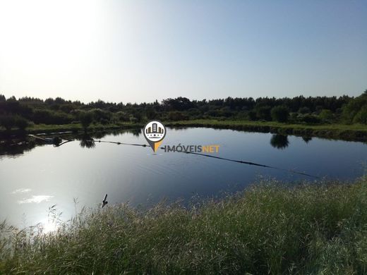 Terreno en Castelo Branco