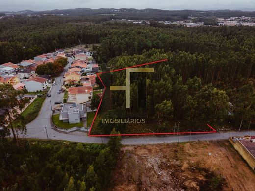 Arsa Maia, Distrito do Porto