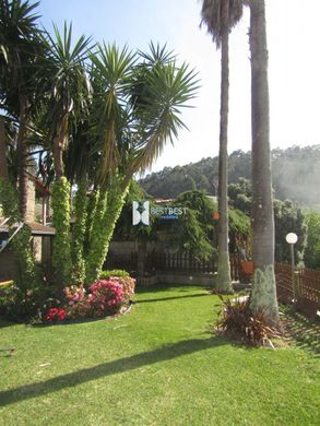Rural or Farmhouse in Barcelos, Distrito de Braga