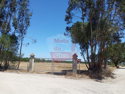 Terrain à Palmela, Distrito de Setúbal