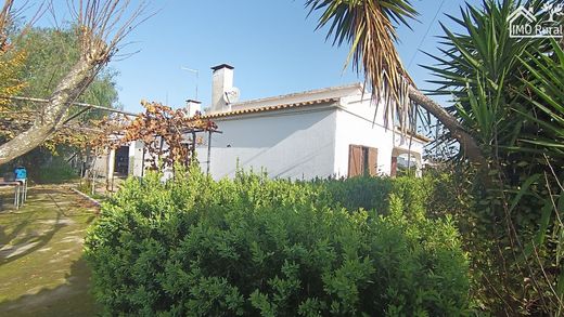 Landhaus / Bauernhof in Salvaterra de Magos, Distrito de Santarém