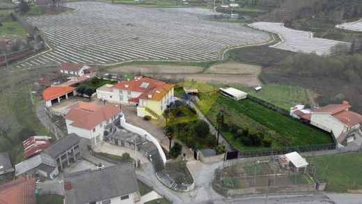 Luxury home in Felgueiras, Distrito do Porto