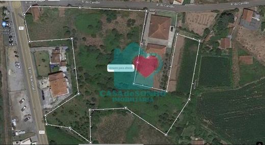 Rural or Farmhouse in Albergaria-a-Velha, Albergaria-A-Velha