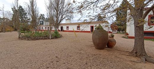 Rural or Farmhouse in Ferreira do Alentejo, Distrito de Beja