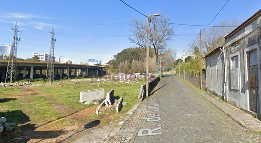 토지 / 포르투, Porto