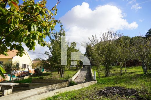 전원/농가 / Sintra, Distrito de Lisboa