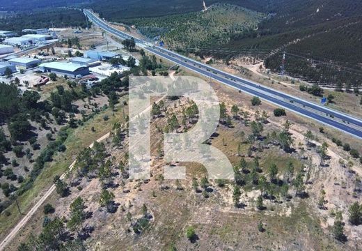 Terreno en Constância, Santarém