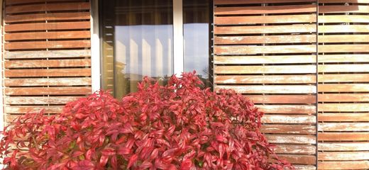 Ρουστίκ ή Αγροικίες σε Αβέιρο, Aveiro