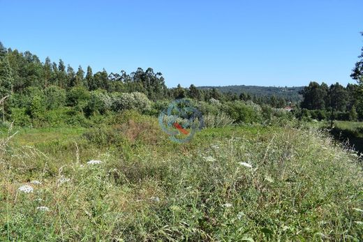 Αγροτεμάχιο σε Santa Maria da Feira, Distrito de Aveiro