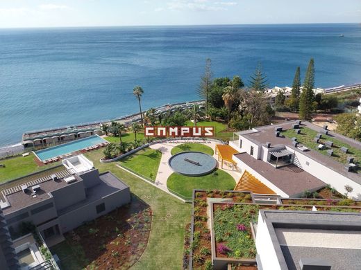 Daire Funchal, Madeira