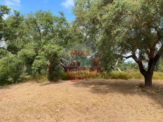 Terreno a Grândola, Distrito de Setúbal