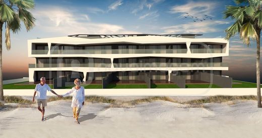 Daire Ílhavo, Distrito de Aveiro