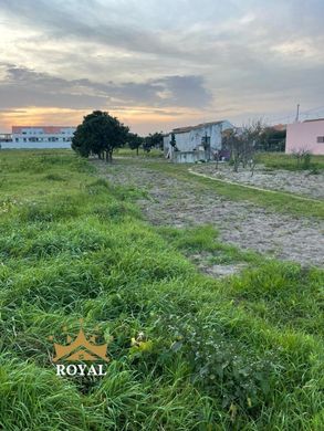 Αγροτεμάχιο σε Alcochete, Distrito de Setúbal