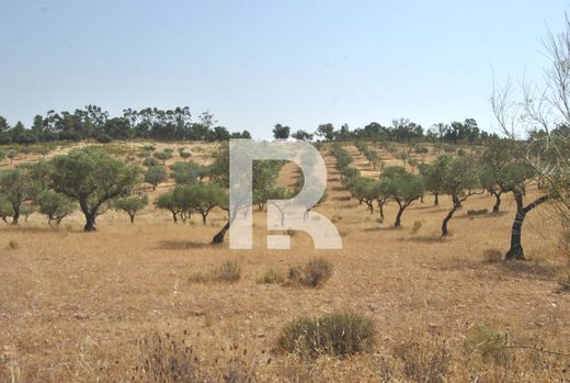 Land in Idanha-a-Nova, Idanha-A-Nova