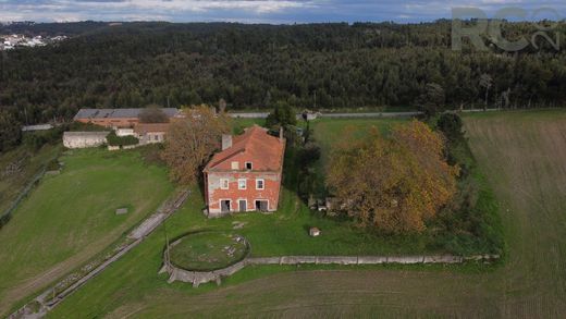 Landhaus / Bauernhof in Figueira da Foz, Distrito de Coimbra