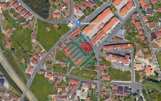 Oliveira de Azemeis, Oliveira de Azeméisの土地