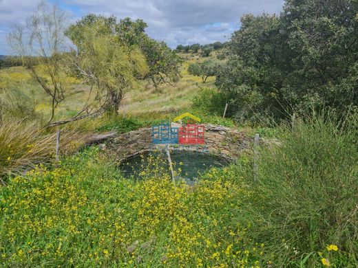 Idanha-a-Nova, Idanha-A-Novaの土地