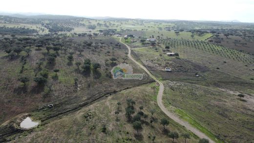 Rural ou fazenda - Alandroal, Évora