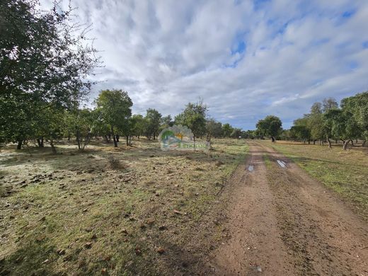 村舍/农舍  Mourão, Distrito de Évora