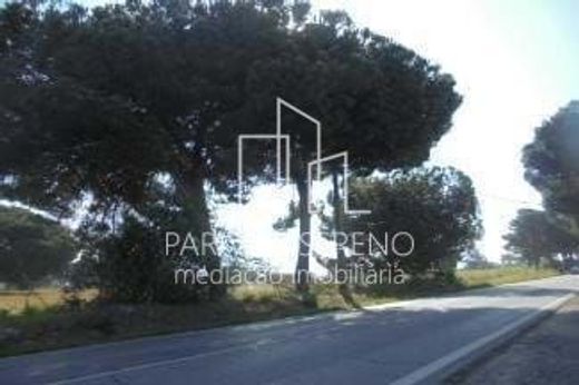 ‏קרקע ב  Palmela, Distrito de Setúbal