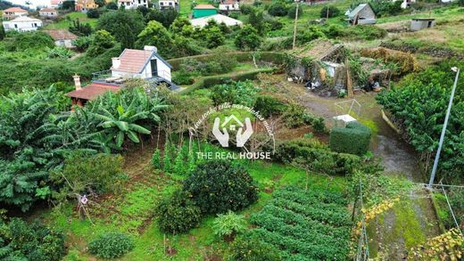 Teren w Machico, Madeira