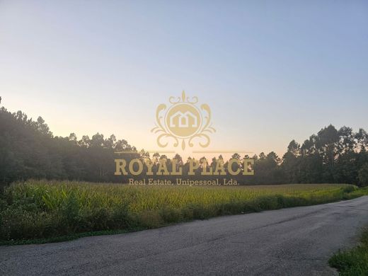 Grundstück in Santa Maria da Feira, Distrito de Aveiro