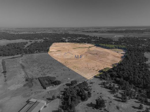 Land in Benavente, Distrito de Santarém