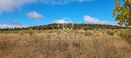 Serpa, Distrito de Bejaの土地