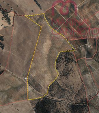 Land in Borba, Distrito de Évora