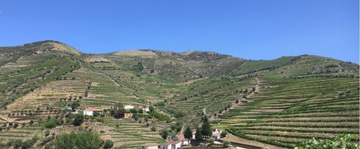 Πολυτελή κατοικία σε São João da Pesqueira, Distrito de Viseu